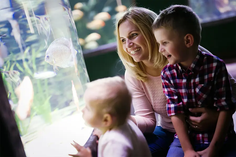Mother and young children discovering colorful fish together at an indoor aquarium.